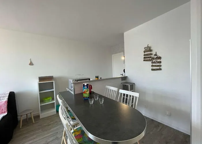 Lejlighed Renove A Neuf, 4 Couchages, Balcon Ensoleille, Parking Prive, Proche Et Commerces - Fr-1-224c-173 *